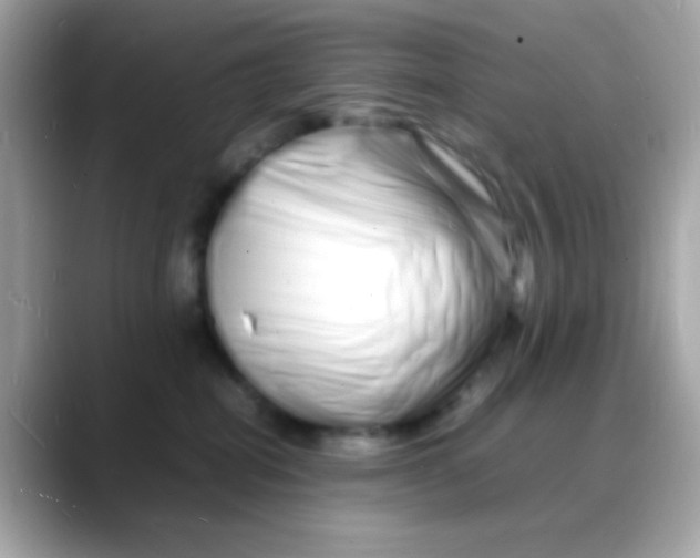 X0000088130282200706041955