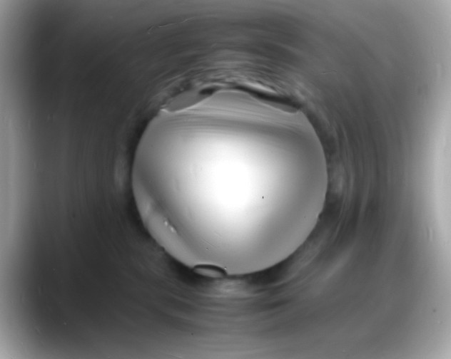 X0000088130283200706041955