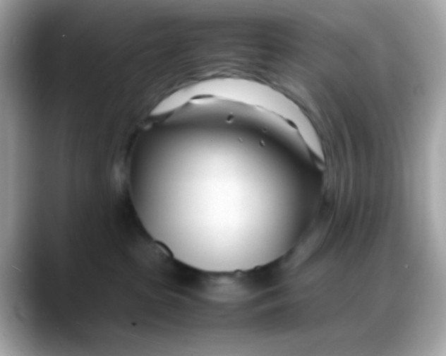 X0000088130285200706041955