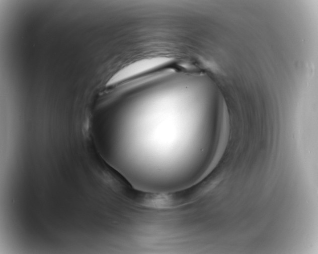 X0000088130288200706041955