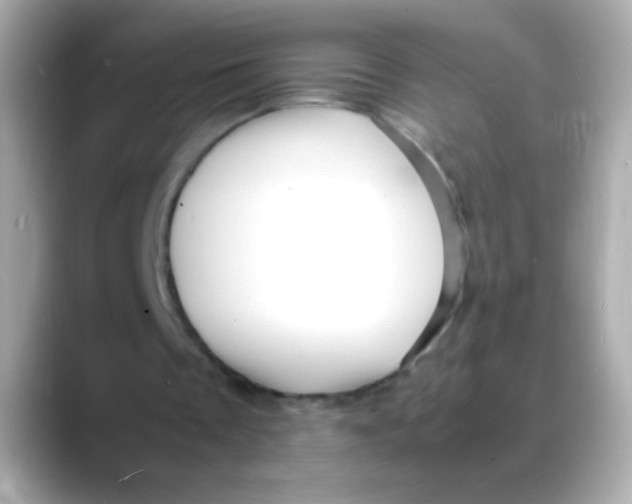 X0000088130289200706041954