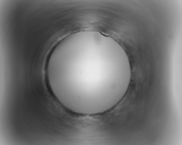 X0000088130290200706041954