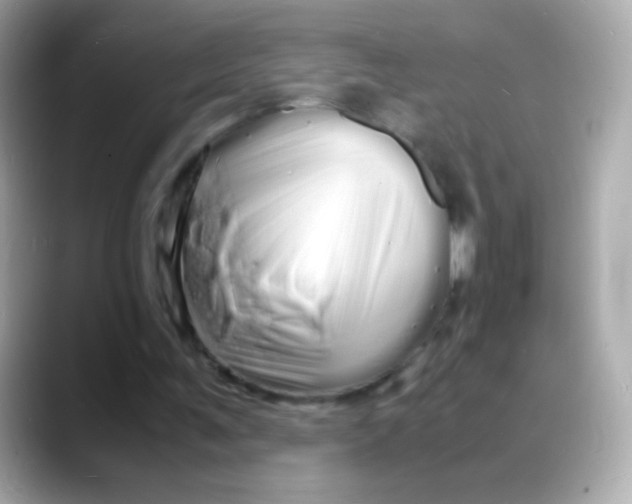 X0000088130291200706041954