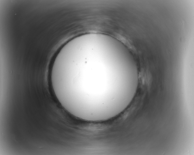 X0000088130292200706041954