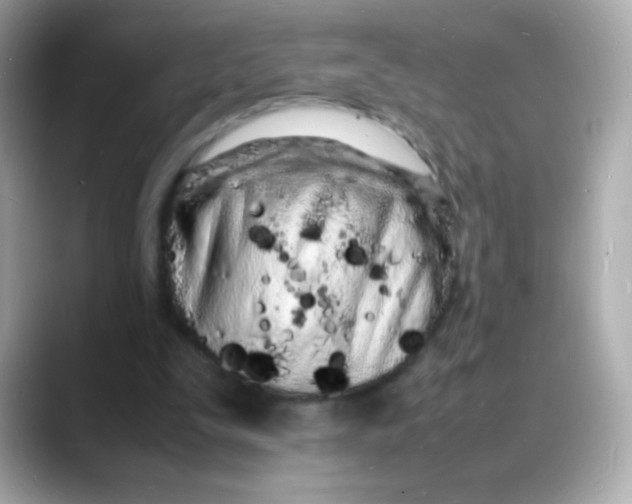 X0000088130295200706041954