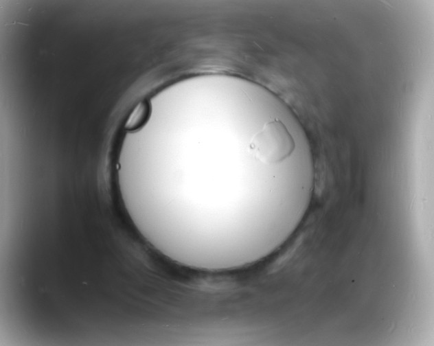 X0000088130296200706041954