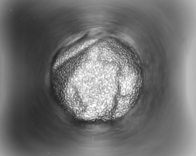 X0000088130297200706041954