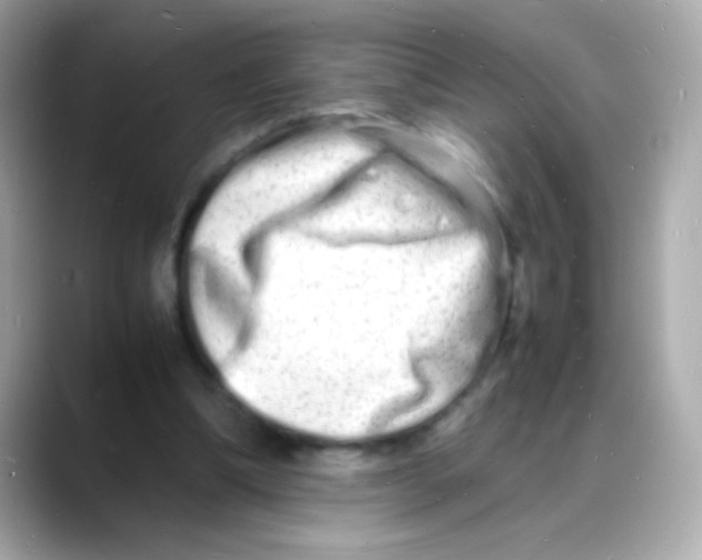 X0000088130298200706041954