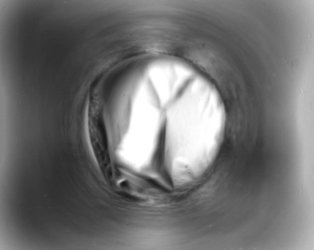 X0000088130299200706041954