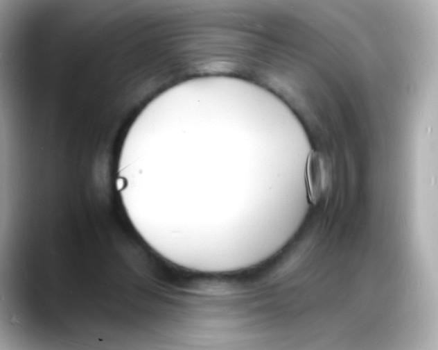 X0000088130300200706041954