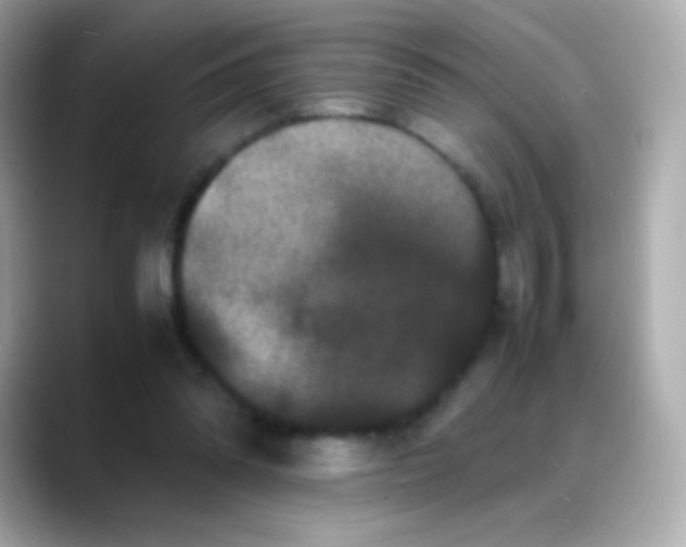 X0000088130302200706041954