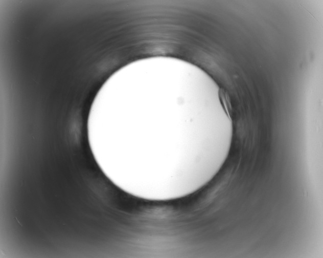 X0000088130304200706041954