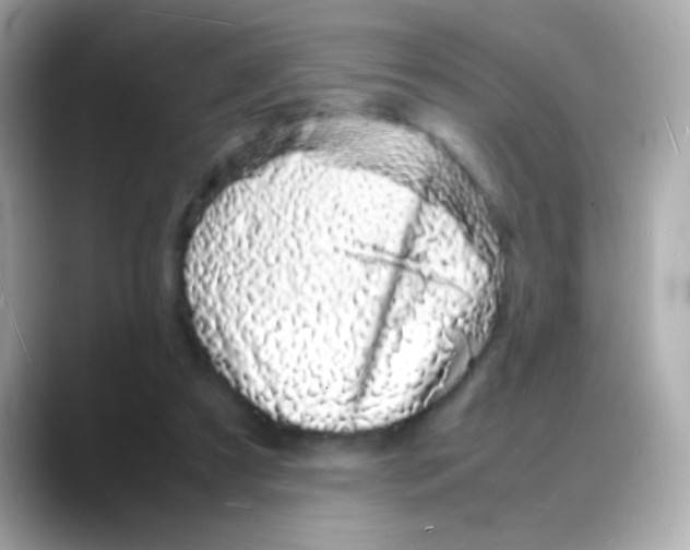 X0000088130305200706041954