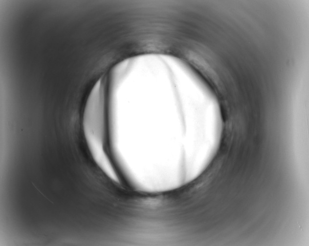 X0000088130306200706041954