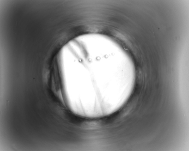 X0000088130307200706041954