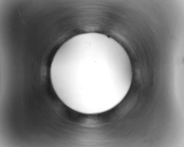 X0000088130308200706041954