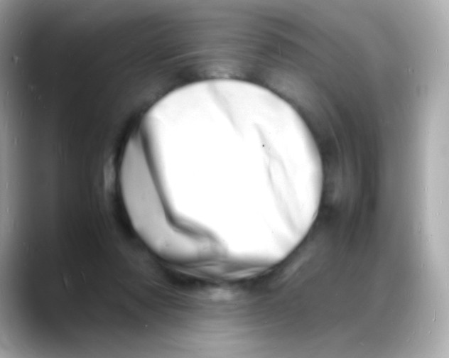 X0000088130310200706041954