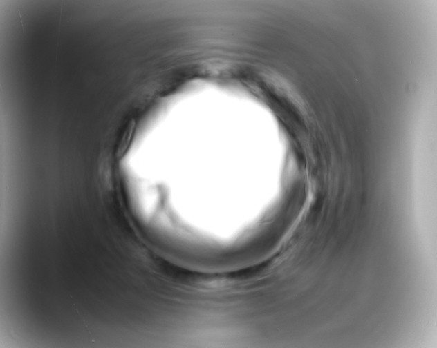 X0000088130313200706041954