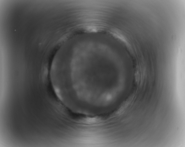 X0000088130314200706041954