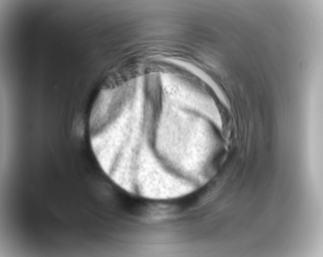 X0000088130315200706041954