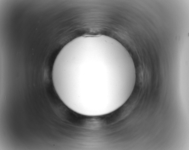 X0000088130316200706041954