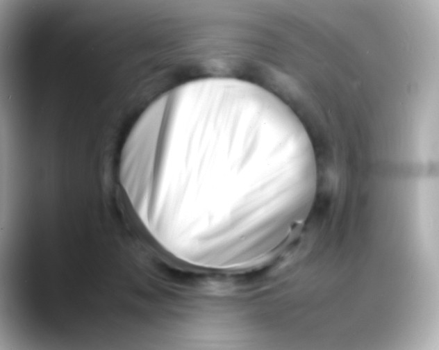 X0000088130317200706041954