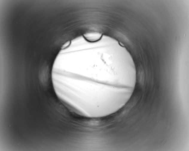 X0000088130318200706041954