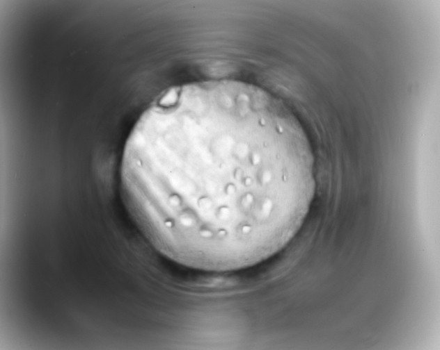 X0000088130319200706041954