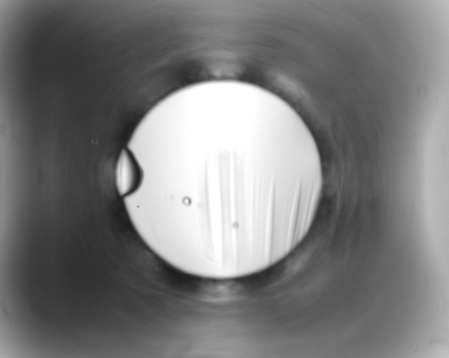 X0000088130321200706041954