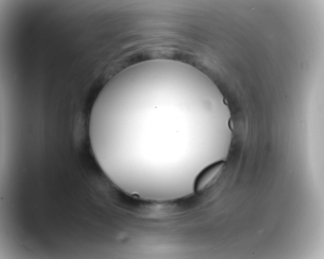 X0000088130323200706041954