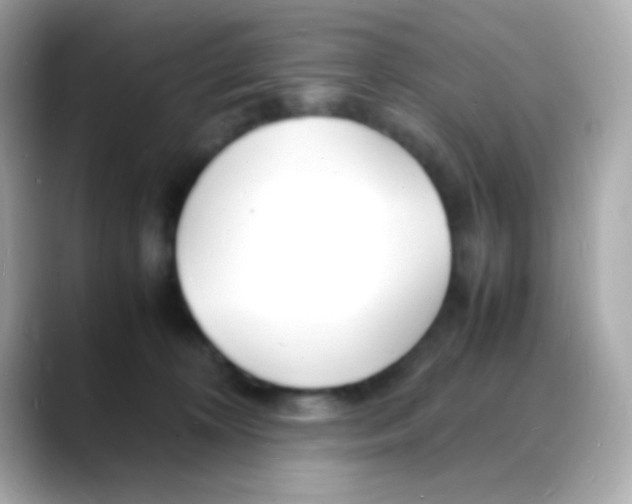 X0000088130324200706041954