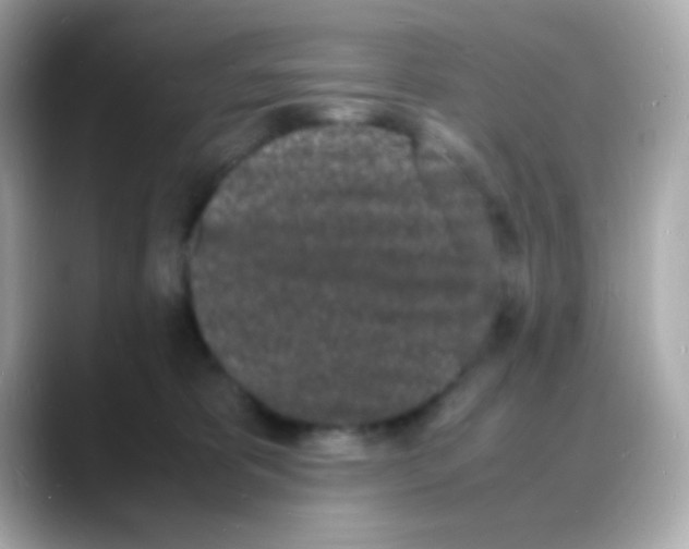 X0000088130325200706041954