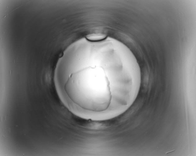 X0000088130326200706041954