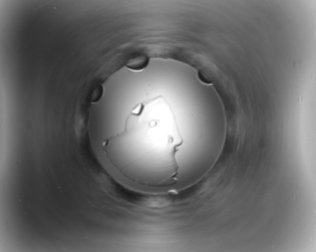 X0000088130327200706041954