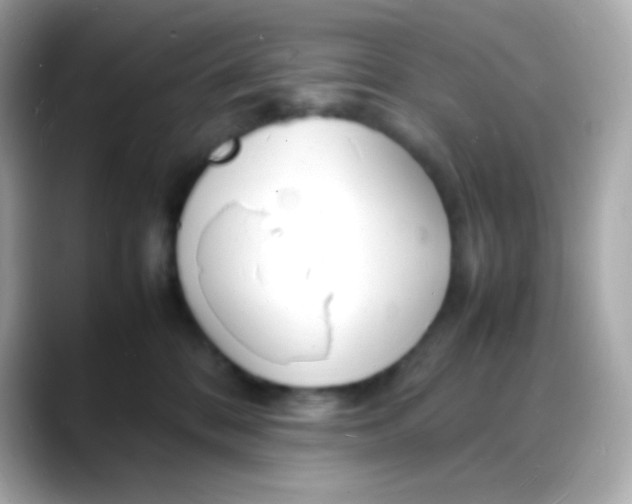 X0000088130328200706041954