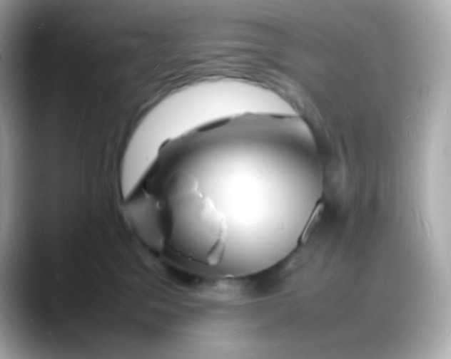 X0000088130329200706041954