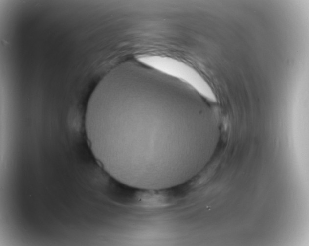 X0000088130331200706041954