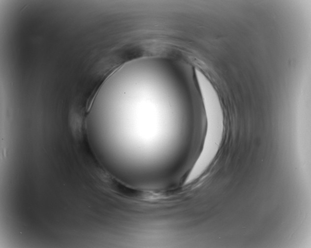 X0000088130333200706041954