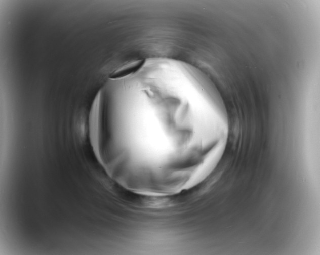 X0000088130334200706041954