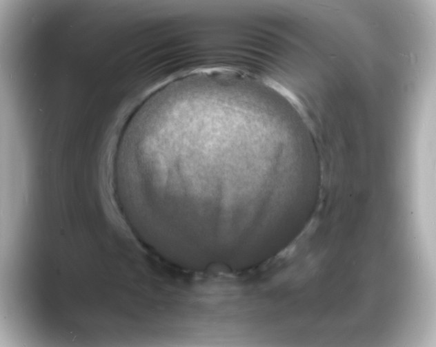 X0000088130337200706041953