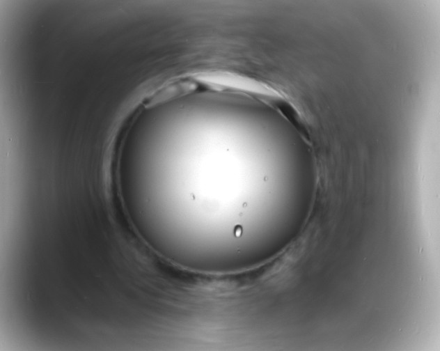 X0000088130340200706041953