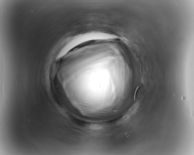 X0000088130341200706041953