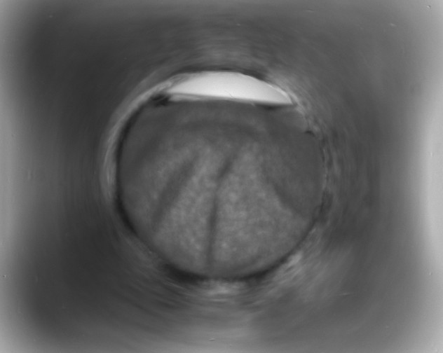 X0000088130343200706041953