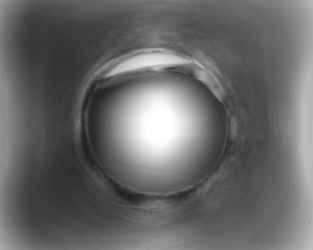 X0000088130344200706041953