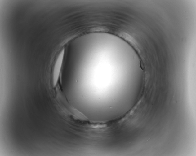 X0000088130345200706041953