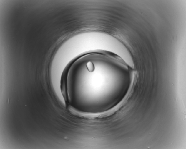 X0000088130348200706041953