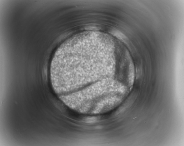 X0000088130349200706041953