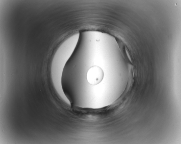 X0000088130352200706041953