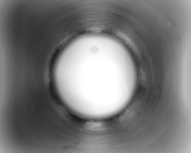 X0000088130354200706041953