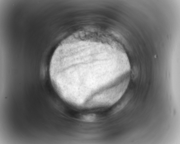 X0000088130355200706041953